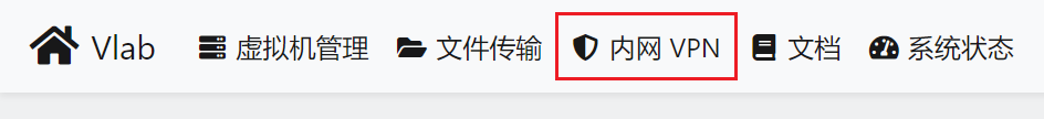内网 VPN